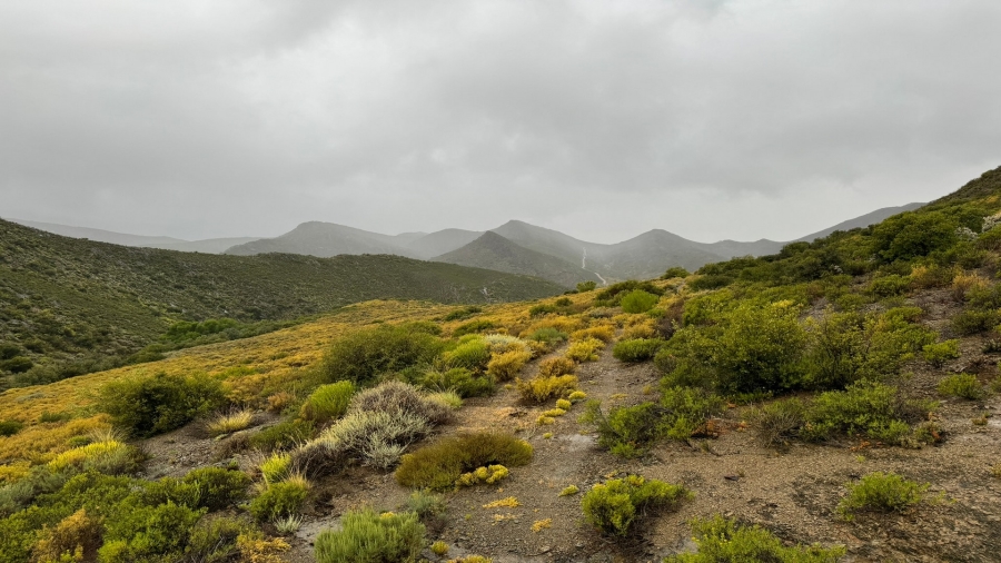 Commercial Property for Sale in Montagu Rural Western Cape